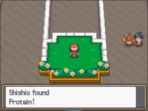 Pokéathlon Dome: Protein found, the text box open after pressing A