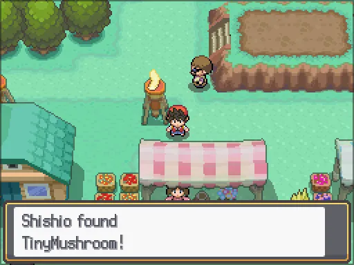 Resort Zone: Tiny Mushroom found, the text box open after pressing A