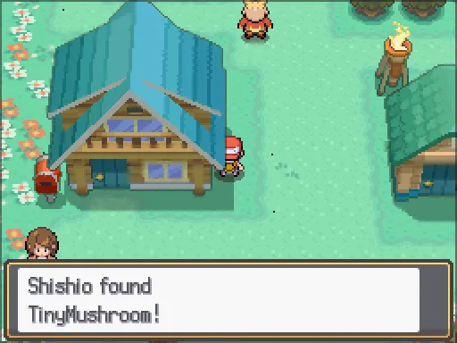 Resort Zone: Tiny Mushroom found, the text box open after pressing A