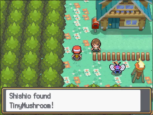 Resort Zone: Tiny Mushroom found, the text box open after pressing A