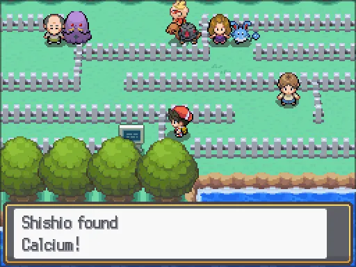 Route 13: Calcium found, the text box open after pressing A