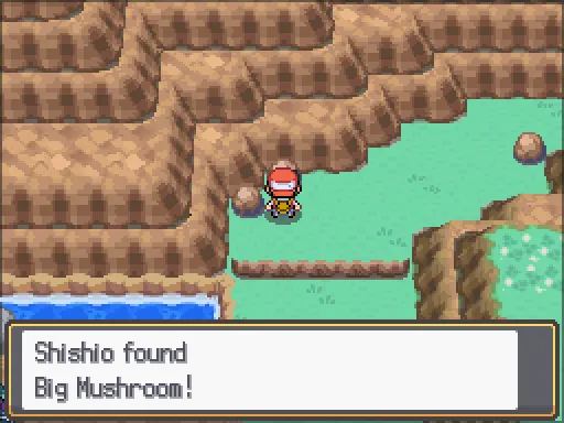 Route 27: Big Mushroom found, the text box open after pressing A