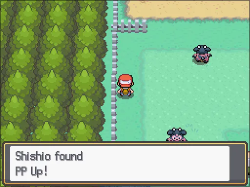 Route 39: PP Up found, the text box open after pressing A